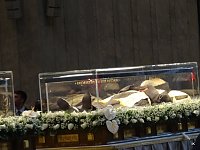 Bild: Pater Pio Gebetsgruppen beim Papst in Rom