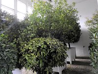 Bild: Peter Blei zu Besuch auf Schloss Oranienbaum