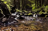 Bild: Unterwegs im Naturpark S&uuml;dharz