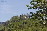 Bild: Unterwegs im Naturpark S&uuml;dharz