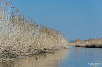 Bild: Auf der Unstrut unterwegs