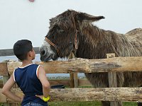 Bild: Fest der L&auml;mmerschw&auml;nze