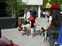 Bild: fest der L&auml;mmerschw&auml;nze