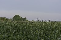 Bild: Wanderung im Morgengrauen