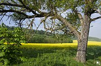 Bild: Wanderung im Morgengrauen