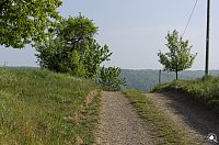 Bild: Wanderung im Morgengrauen
