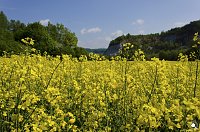 Bild: Wanderung im Morgengrauen