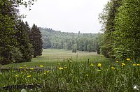 Bild: Wandergr&uuml;&szlig;e aus Rothes&uuml;tte