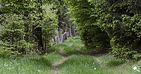 Bild: Wandergr&uuml;&szlig;e aus Rothes&uuml;tte