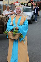 Bild: 750 Jahre Gerterode - der Festumzug