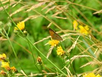 Bild: Peter Blei unterwegs - diesmal in der freien Natur und im Jugendwaldheim Rathsfeld