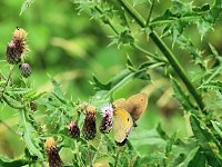 Bild: Peter Blei unterwegs - diesmal in der freien Natur und im Jugendwaldheim Rathsfeld