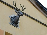 Bild: Peter Blei unterwegs - diesmal in der freien Natur und im Jugendwaldheim Rathsfeld
