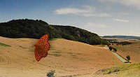 Bild: Peter Blei unterwegs - diesmal in der freien Natur und im Jugendwaldheim Rathsfeld