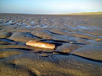 Bild: Unterwegs auf Ameland
