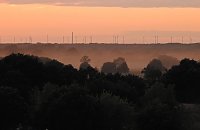 Bild: Spinnen im Mondschein am Goitzsche See
