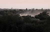 Bild: Spinnen im Mondschein am Goitzsche See