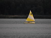 Bild: Spinnen im Mondschein am Goitzsche See