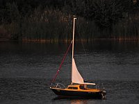 Bild: Spinnen im Mondschein am Goitzsche See