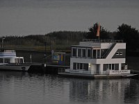 Bild: Spinnen im Mondschein am Goitzsche See