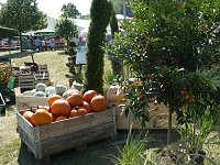 Bild: Eichsfelder Bauernmarkt