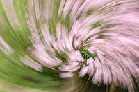 Bild: Keine Angst vor dem Herbst
