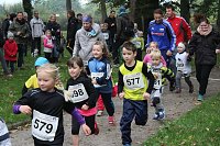 Bild: Stadtparklauf