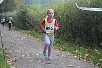 Bild: Stadtparklauf