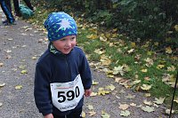 Bild: Stadtparklauf