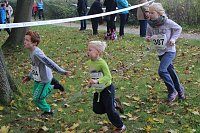 Bild: Stadtparklauf