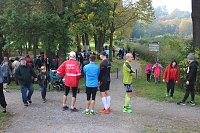 Bild: Die langen Strecken beim Stadtparklauf