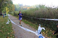 Bild: Die langen Strecken beim Stadtparklauf