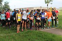 Bild: Die langen Strecken beim Stadtparklauf