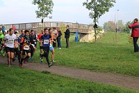 Bild: Die langen Strecken beim Stadtparklauf