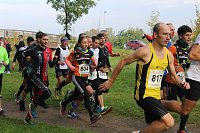 Bild: Die langen Strecken beim Stadtparklauf