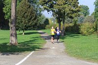 Bild: Die langen Strecken beim Stadtparklauf