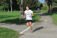 Bild: Die langen Strecken beim Stadtparklauf