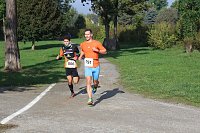 Bild: Die langen Strecken beim Stadtparklauf