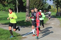 Bild: Die langen Strecken beim Stadtparklauf