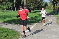 Bild: Die langen Strecken beim Stadtparklauf