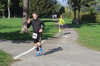 Bild: Die langen Strecken beim Stadtparklauf