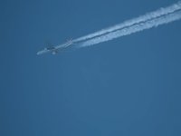 Bild: Ein Traum in Wei&szlig;