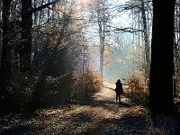 Bild: Ein Traum in Wei&szlig;