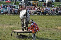 Bild: Kampf der Giganten Sundhausen