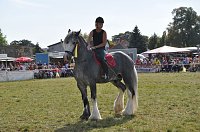 Bild: Kampf der Giganten Sundhausen