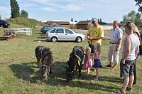 Bild: Kampf der Giganten Sundhausen