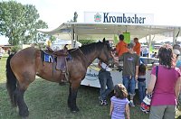 Bild: Kampf der Giganten Sundhausen