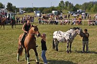 Bild: Kampf der Giganten Sundhausen