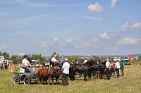 Bild: Kampf der Giganten Sundhausen