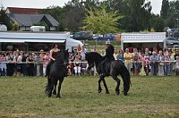 Bild: Kampf der Giganten Sundhausen